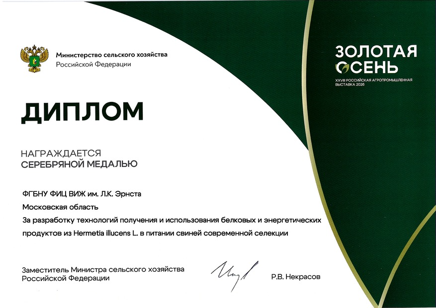 2026 диплом осень